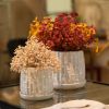 Handmade White Glazed Ceramic Planter Set of 2, 6" & 8" Diameter, Bamboo-like Pattern, for Orchids Indoor/Outdoor Shelf and Table Use, Breathable Clay