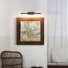 Picture Light Battery Operated with Remote, LED Black Art Lights for Paintings Rechargeable Dimmable and Timer