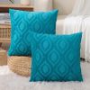 Summer Throw Pillow Covers 18x18 Inch Set of 2, Soft Plush Faux Wool Teal Solid Couch Pillow Covers