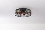 19 in. Indoor Black 6-Speed Flush Mount Caged Ceiling Fan with Light Kit and Remote Control