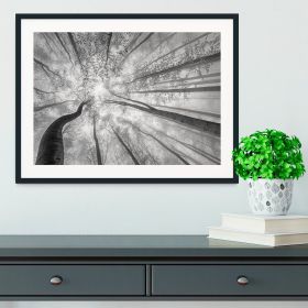 Spring Crown Of Trees Framed Print (Color: White/No White Edging, size: 12" x 8" / 30cm x 20cm (approx))