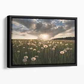 Lightbulbs Floating Framed Canvas (Color: Black, size: 40" x 26" / 100cm x 65cm (approx))